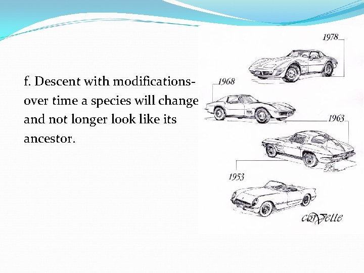 f. Descent with modificationsover time a species will change and not longer look like