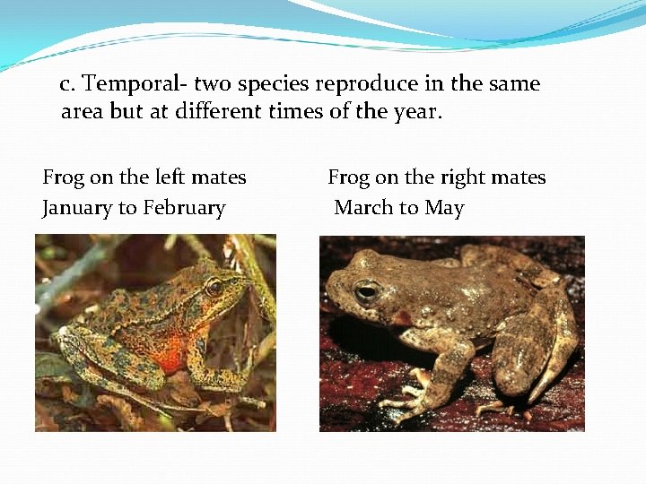 c. Temporal- two species reproduce in the same area but at different times of