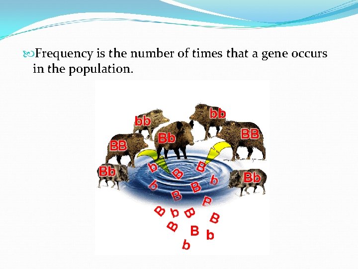  Frequency is the number of times that a gene occurs in the population.