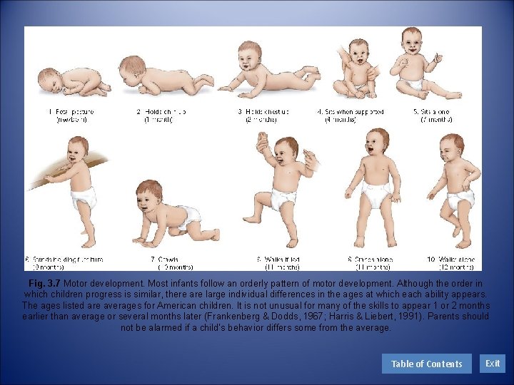 Fig. 3. 7 Motor development. Most infants follow an orderly pattern of motor development.