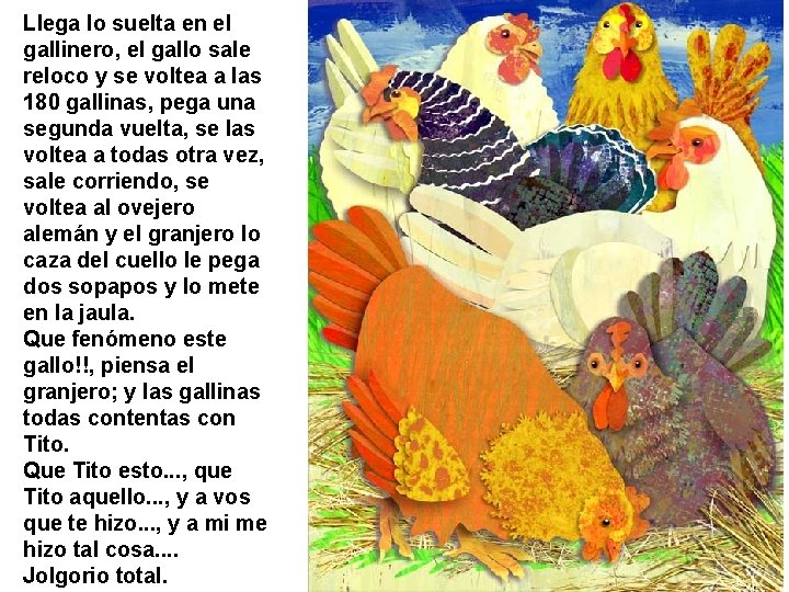 Llega lo suelta en el gallinero, el gallo sale reloco y se voltea a