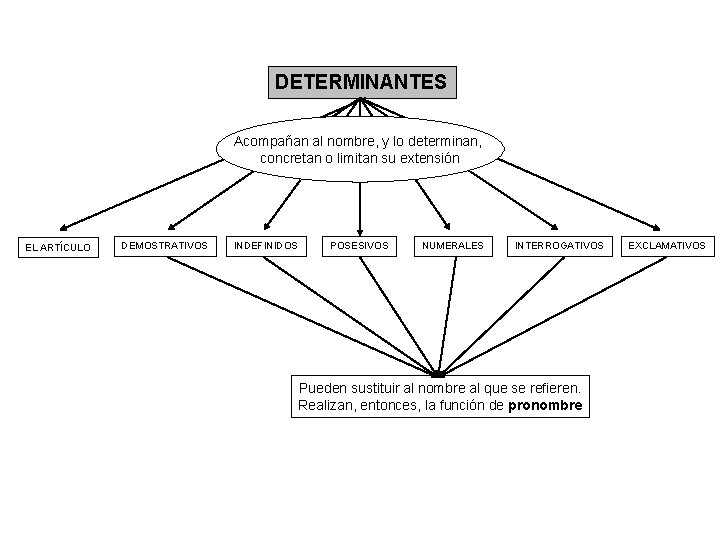 DETERMINANTES Acompañan al nombre, y lo determinan, concretan o limitan su extensión EL ARTÍCULO