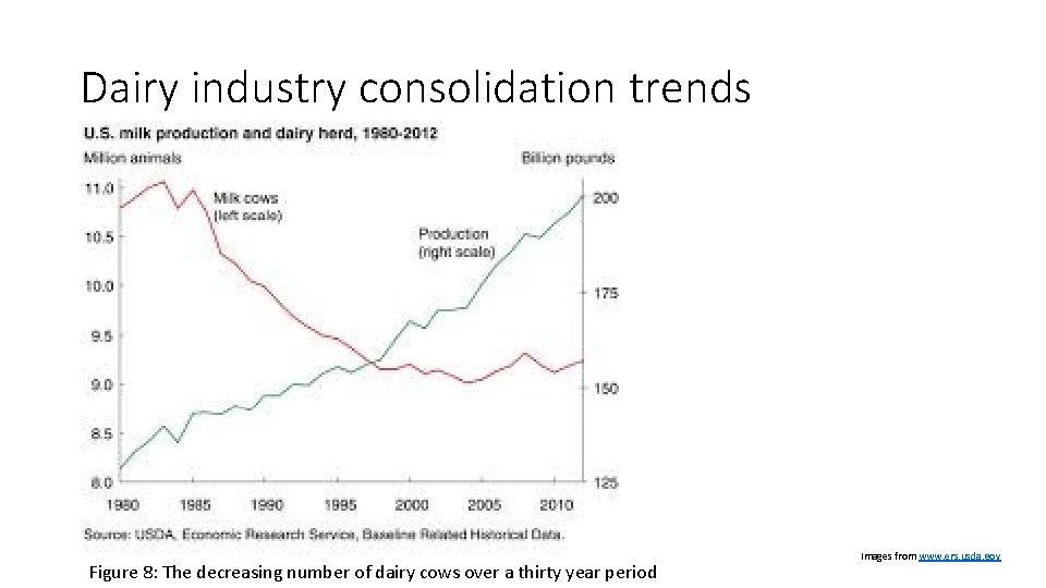Dairy industry consolidation trends Figure 8: The decreasing number of dairy cows over a