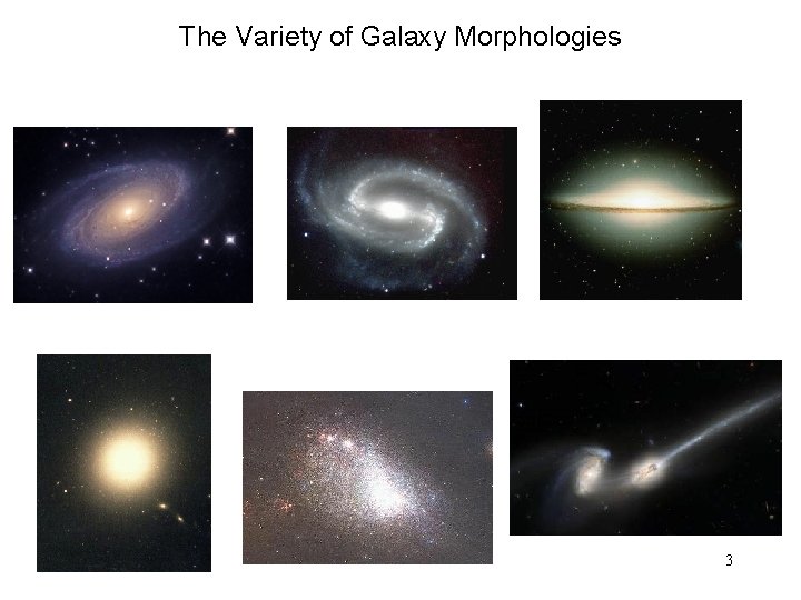 The Variety of Galaxy Morphologies 3 