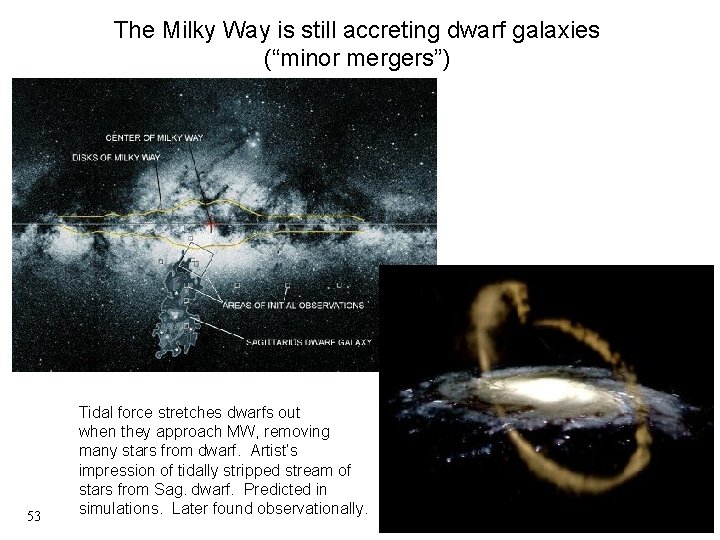 The Milky Way is still accreting dwarf galaxies (“minor mergers”) 53 Tidal force stretches