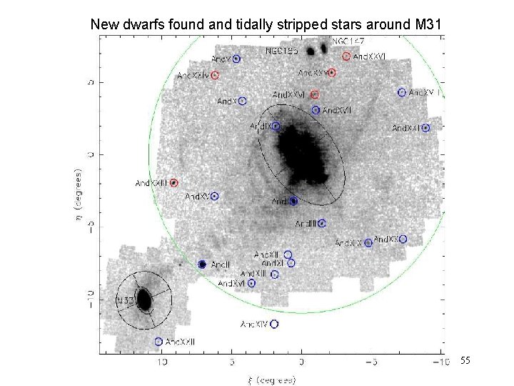 New dwarfs found and tidally stripped stars around M 31 55 