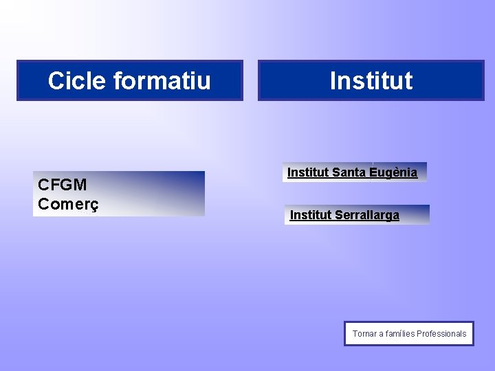 Cicle formatiu CFGM Comerç Institut Santa Eugènia Institut Serrallarga Tornar a famílies Professionals 