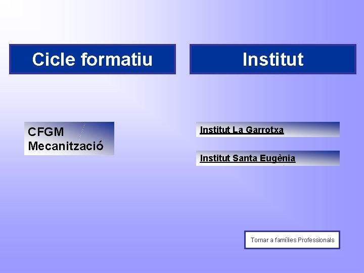 Cicle formatiu CFGM Mecanització Institut La Garrotxa Institut Santa Eugènia Tornar a famílies Professionals