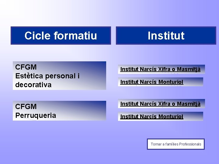 Cicle formatiu CFGM Estètica personal i decorativa CFGM Perruqueria Institut Narcís Xifra o Masmitjà