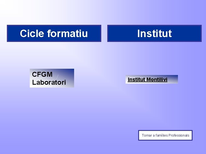 Cicle formatiu CFGM Laboratori Institut Montilivi Tornar a famílies Professionals 