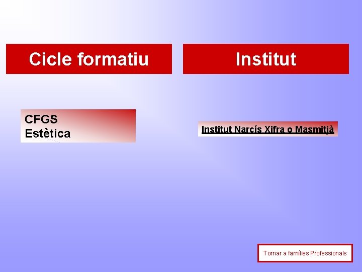 Cicle formatiu CFGS Estètica Institut Narcís Xifra o Masmitjà Tornar a famílies Professionals 