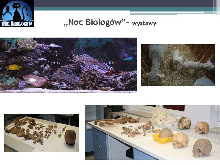 „Noc Biologów”- wystawy 