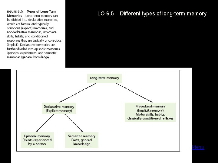LO 6. 5 Different types of long-term memory Menu 