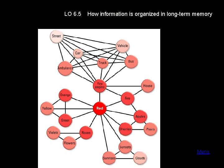 LO 6. 5 How information is organized in long-term memory Menu 