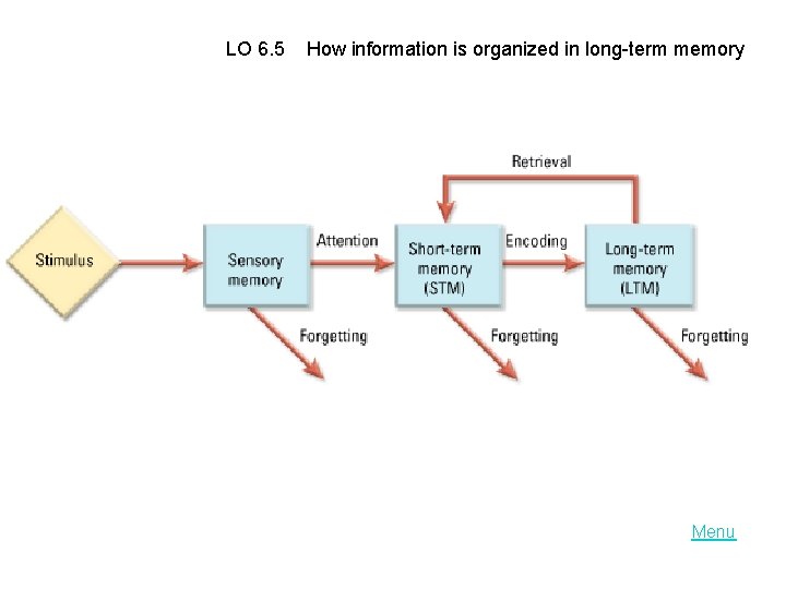 LO 6. 5 How information is organized in long-term memory Menu 
