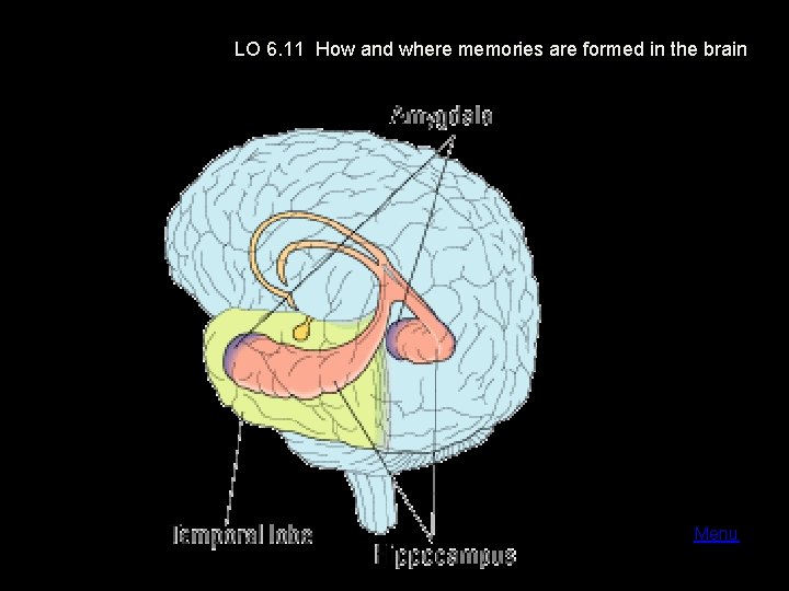 LO 6. 11 How and where memories are formed in the brain Menu 