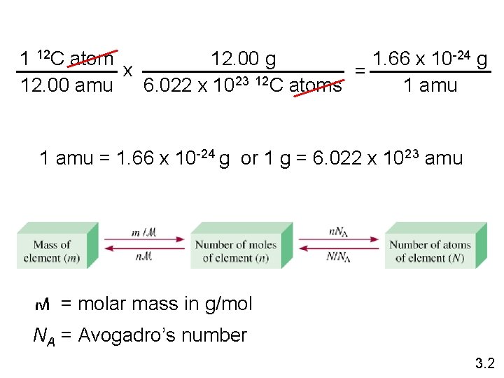 1 12 C atom 12. 00 g 1. 66 x 10 -24 g x