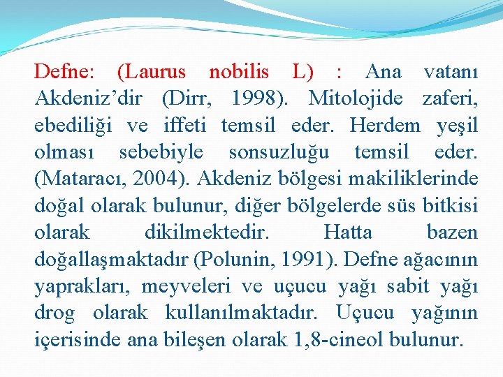 Defne: (Laurus nobilis L) : Ana vatanı Akdeniz’dir (Dirr, 1998). Mitolojide zaferi, ebediliği ve