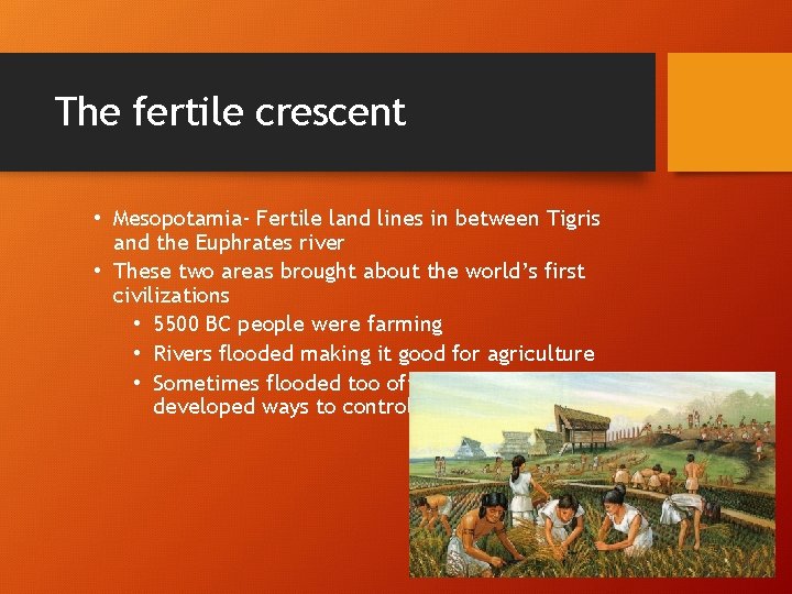 The fertile crescent • Mesopotamia- Fertile land lines in between Tigris and the Euphrates