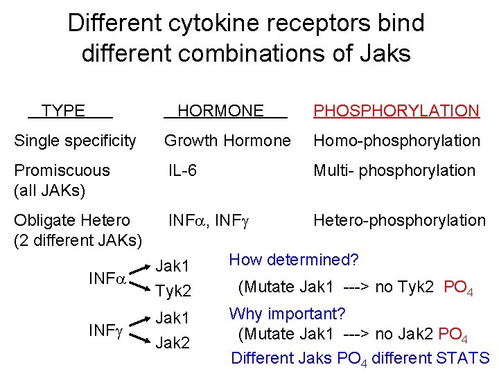 Different cytokine receptors bind different combinations of Jaks TYPE HORMONE PHOSPHORYLATION Single specificity Growth