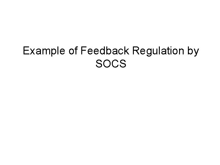 Example of Feedback Regulation by SOCS 