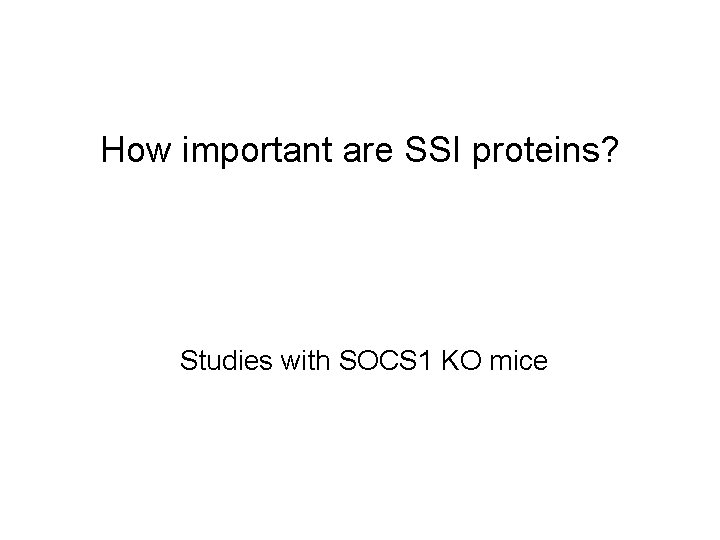 How important are SSI proteins? Studies with SOCS 1 KO mice 