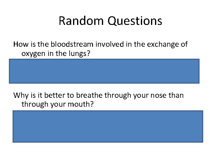 Random Questions How is the bloodstream involved in the exchange of oxygen in the