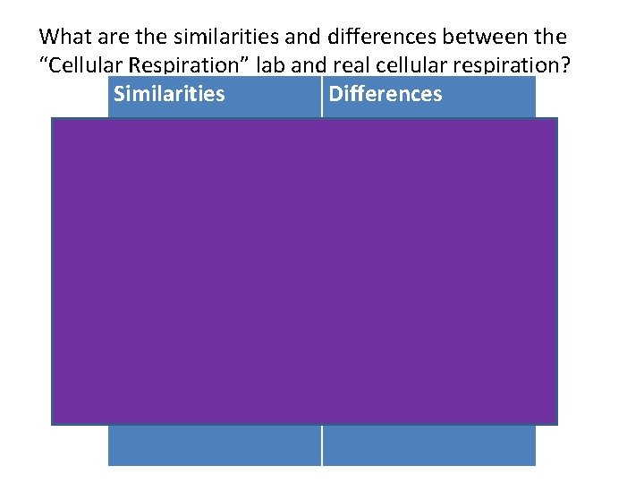 What are the similarities and differences between the “Cellular Respiration” lab and real cellular