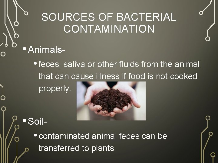 SOURCES OF BACTERIAL CONTAMINATION • Animals • feces, saliva or other fluids from the