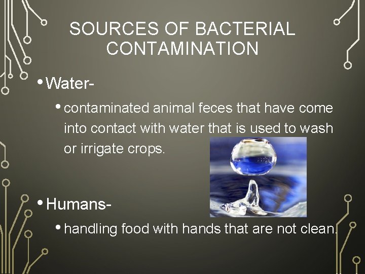 SOURCES OF BACTERIAL CONTAMINATION • Water • contaminated animal feces that have come into