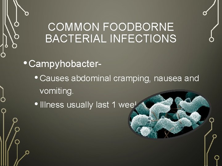 COMMON FOODBORNE BACTERIAL INFECTIONS • Campyhobacter • Causes abdominal cramping, nausea and vomiting. •