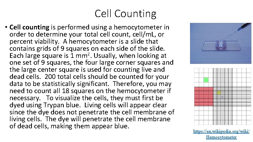 Cell Counting • Cell counting is performed using a hemocytometer in order to determine