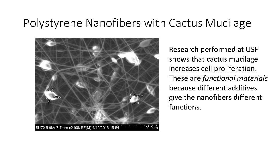 Polystyrene Nanofibers with Cactus Mucilage Research performed at USF shows that cactus mucilage increases