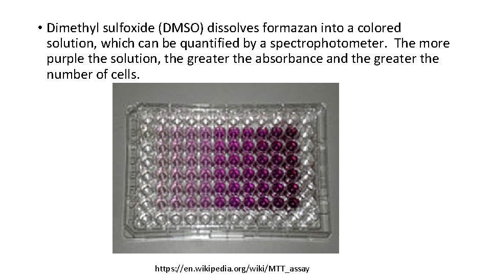  • Dimethyl sulfoxide (DMSO) dissolves formazan into a colored solution, which can be
