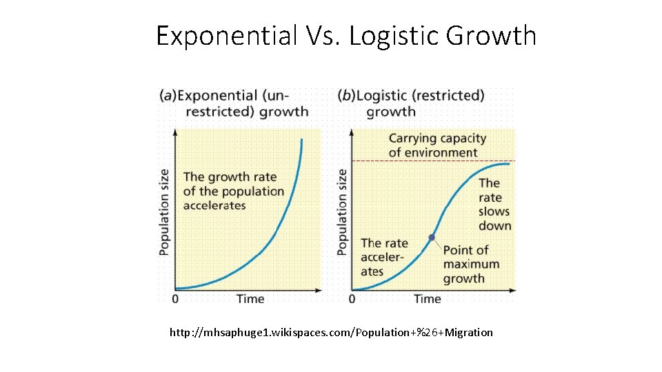 Exponential Vs. Logistic Growth http: //mhsaphuge 1. wikispaces. com/Population+%26+Migration 