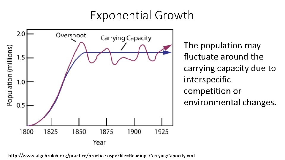 Exponential Growth The population may fluctuate around the carrying capacity due to interspecific competition