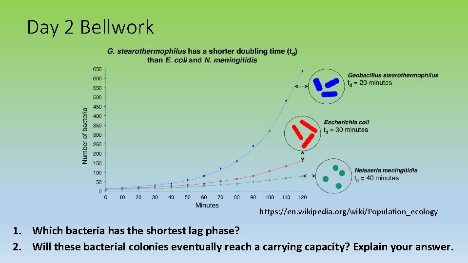 Day 2 Bellwork https: //en. wikipedia. org/wiki/Population_ecology 1. Which bacteria has the shortest lag