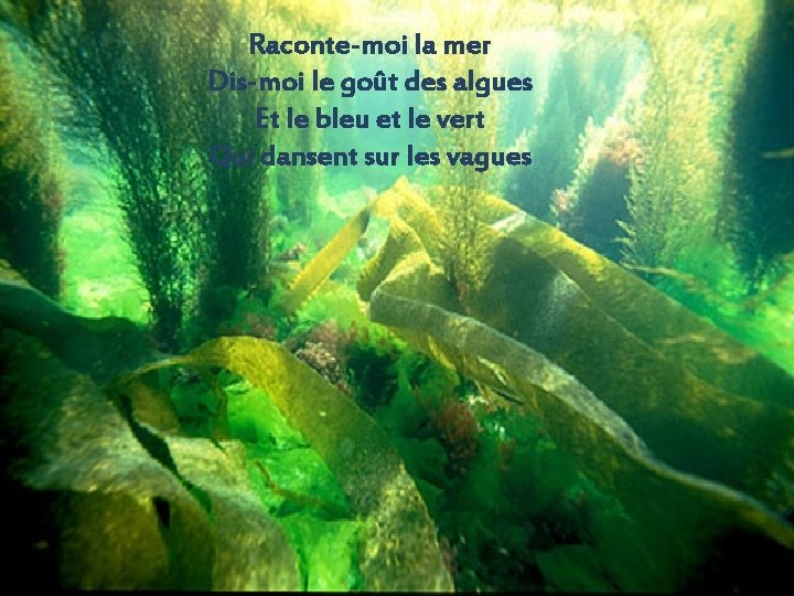 Raconte-moi la mer Dis-moi le goût des algues Et le bleu et le vert