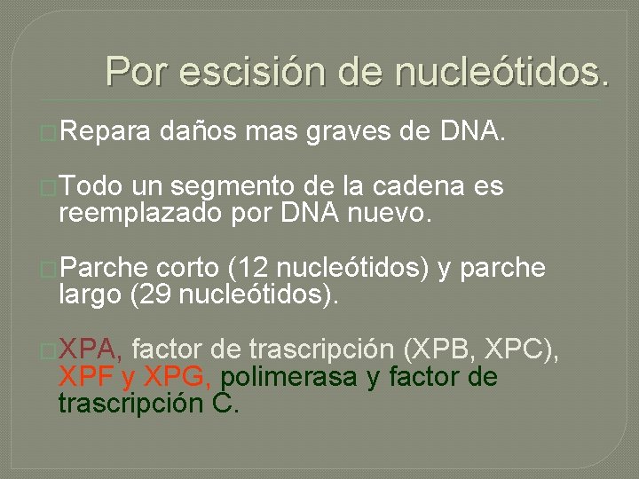 Por escisión de nucleótidos. �Repara daños mas graves de DNA. �Todo un segmento de