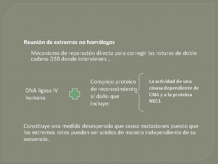 Reunión de extremos no homólogos � Mecanismo de reparación directa para corregir las roturas