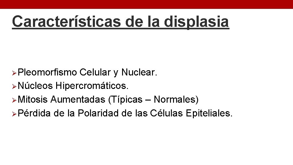 Características de la displasia ØPleomorfismo Celular y Nuclear. ØNúcleos Hipercromáticos. ØMitosis Aumentadas (Típicas –
