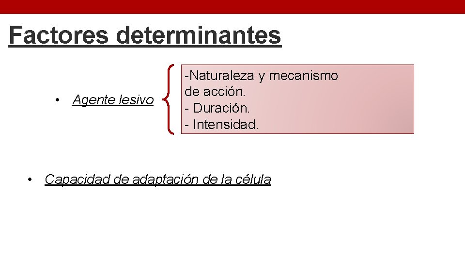 Factores determinantes • Agente lesivo -Naturaleza y mecanismo de acción. - Duración. - Intensidad.