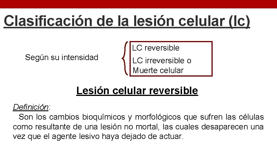 Clasificación de la lesión celular (lc) LC reversible Según su intensidad LC irreversible o