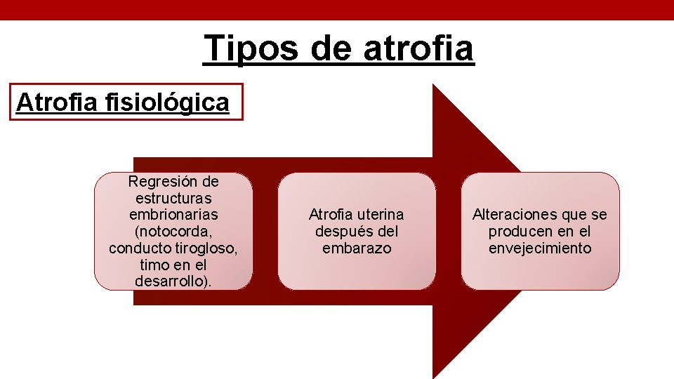 Tipos de atrofia Atrofia fisiológica Regresión de estructuras embrionarias (notocorda, conducto tirogloso, timo en