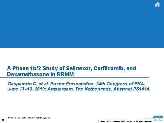 A Phase 1 b/2 Study of Selinexor, Carfilzomib, and Dexamethasone in RRMM Gasparetto C,