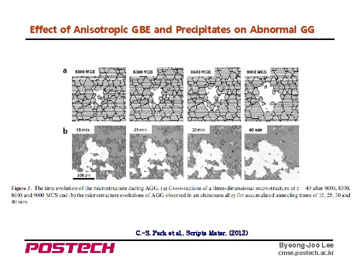 Effect of Anisotropic GBE and Precipitates on Abnormal GG C. -S. Park et al.