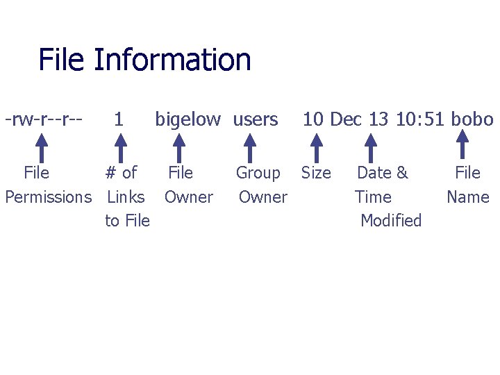 File Information -rw-r--r-- 1 bigelow users File # of File Permissions Links Owner to
