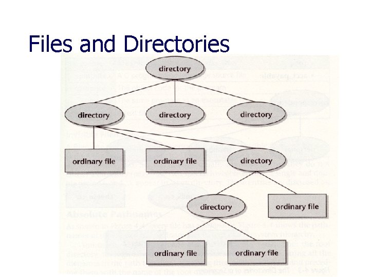 Files and Directories 