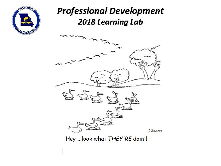 Professional Development 2018 Learning Lab ! 