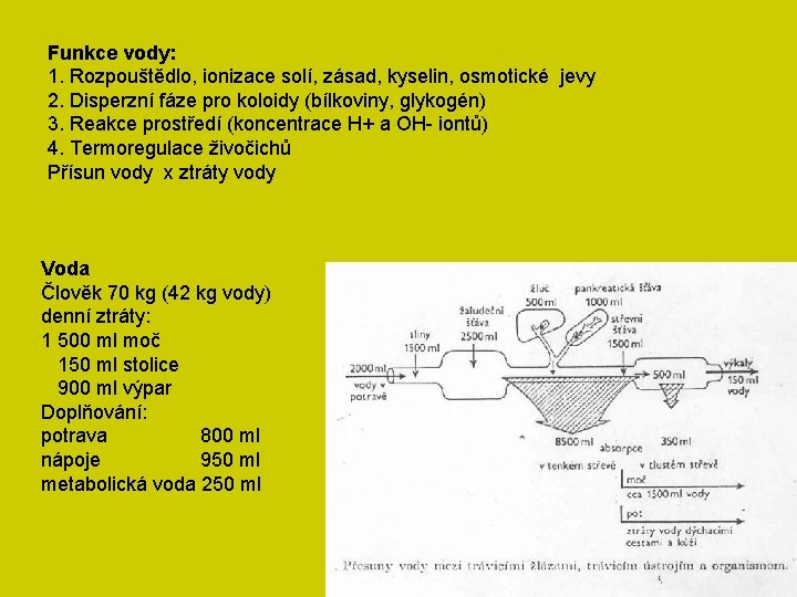 Funkce vody: 1. Rozpouštědlo, ionizace solí, zásad, kyselin, osmotické jevy 2. Disperzní fáze pro